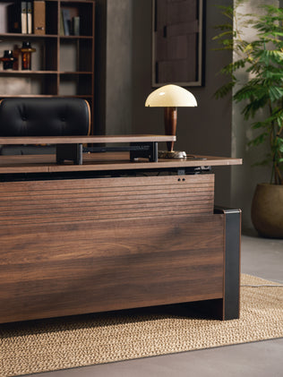 Executive Standing Desk