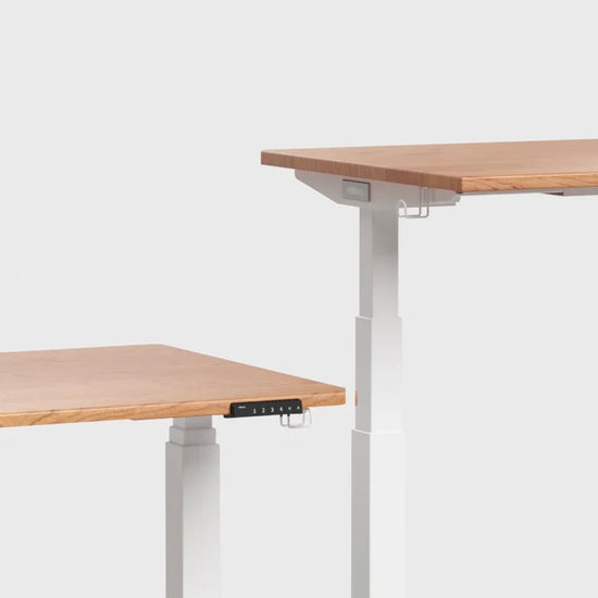 Why is Dual-motor Standing Desk More Expensive?