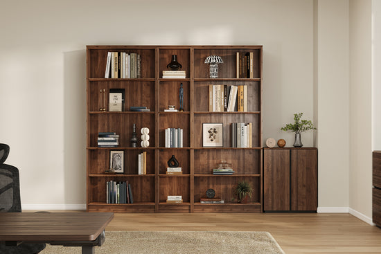 Vernal Modular Bookcase Set