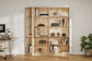 Vernal Modular Bookcase Set