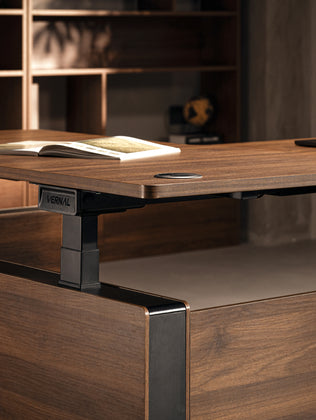 Executive Standing Desk-2